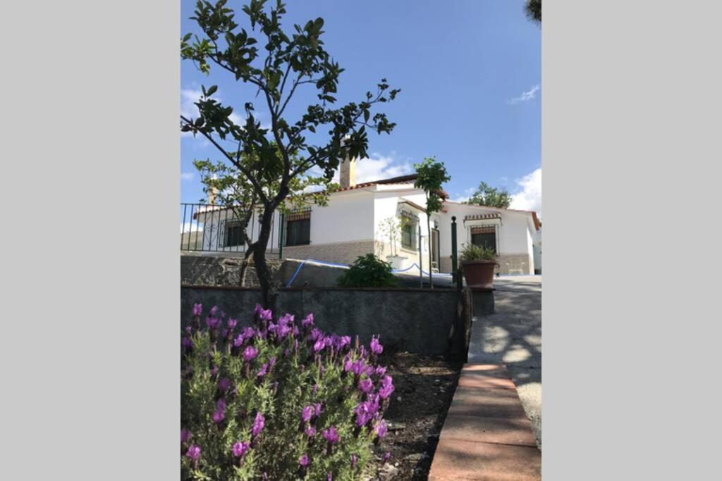 Casa Dimas Villa Cómpeta Dış mekan fotoğraf